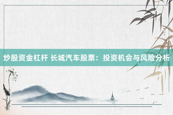 炒股资金杠杆 长城汽车股票：投资机会与风险分析