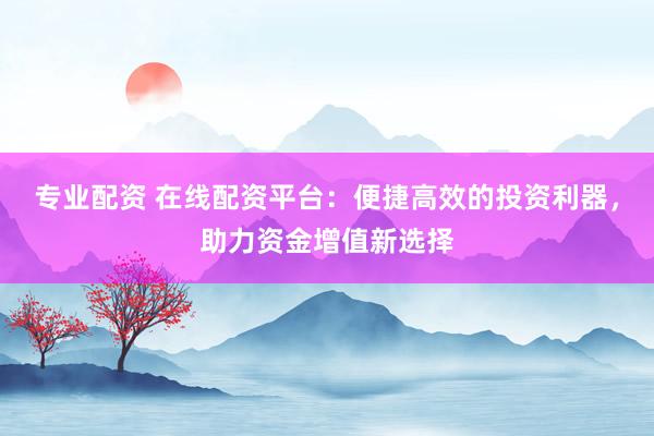 专业配资 在线配资平台：便捷高效的投资利器，助力资金增值新选择