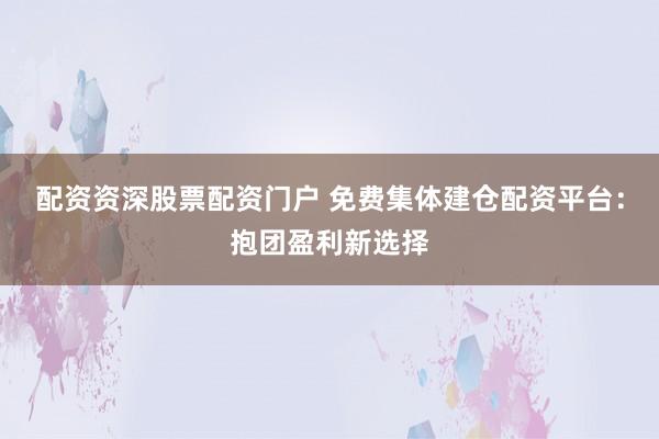 配资资深股票配资门户 免费集体建仓配资平台：抱团盈利新选择