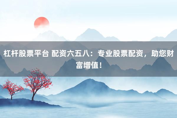 杠杆股票平台 配资六五八：专业股票配资，助您财富增值！
