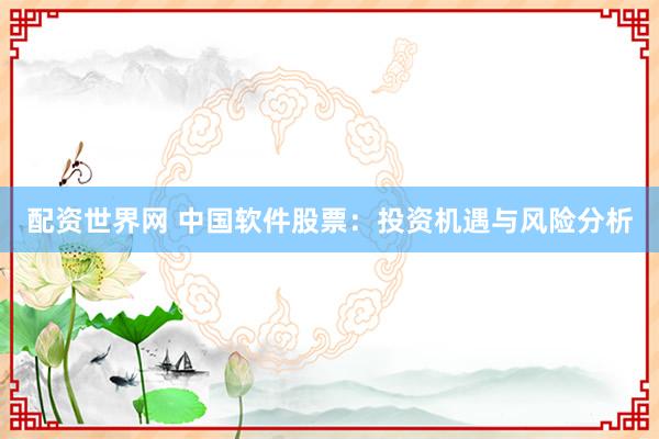 配资世界网 中国软件股票：投资机遇与风险分析