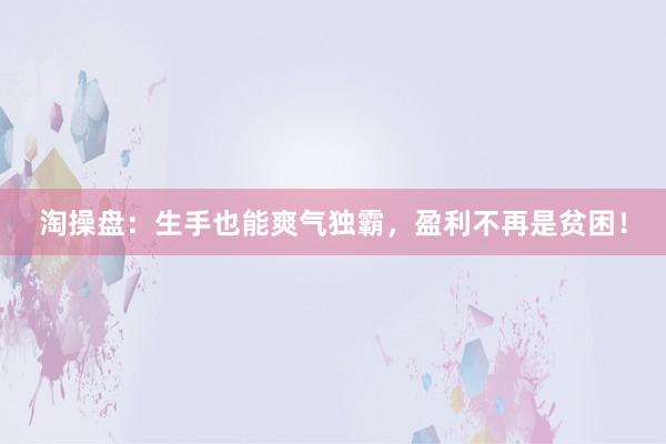 淘操盘:生手也能爽气独霸,盈利不再是贫困!