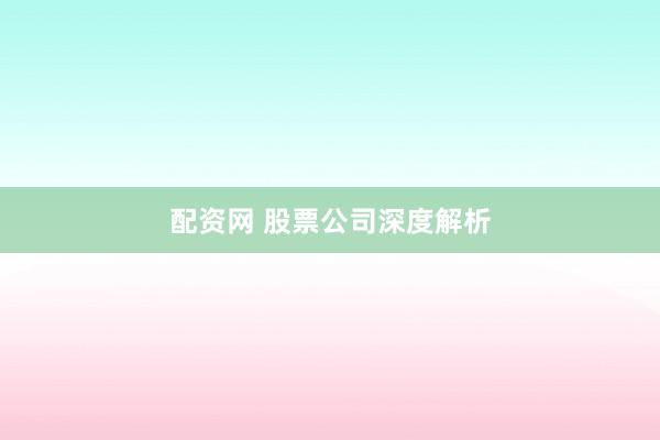 配资网 股票公司深度解析