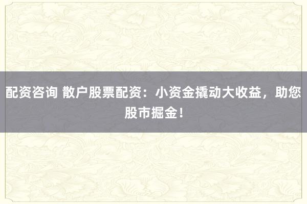 配资咨询 散户股票配资：小资金撬动大收益，助您股市掘金！