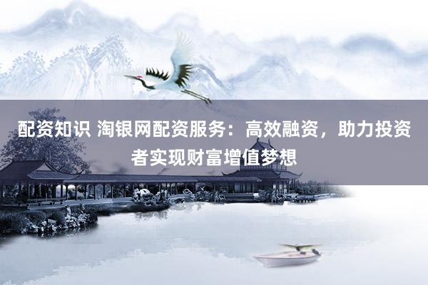 配资知识 淘银网配资服务:高效融资,助力投资者实现财富增值梦想