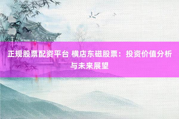 正规股票配资平台 横店东磁股票：投资价值分析与未来展望
