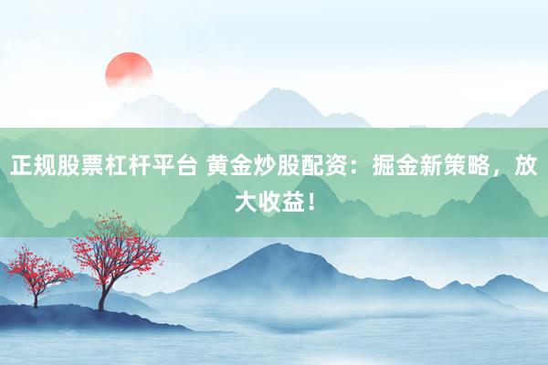正规股票杠杆平台 黄金炒股配资：掘金新策略，放大收益！