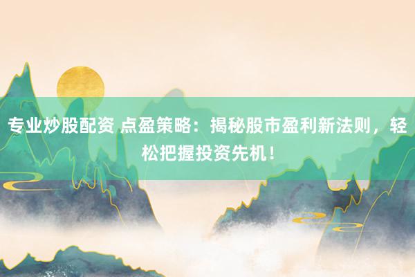 专业炒股配资 点盈策略：揭秘股市盈利新法则，轻松把握投资先机！